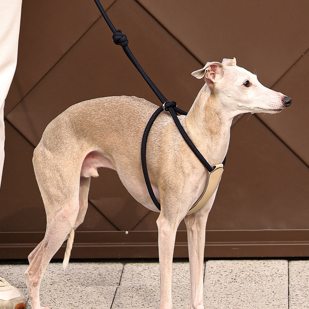All-In-One Harness - Navy
