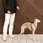 All-In-One Harness - Navy