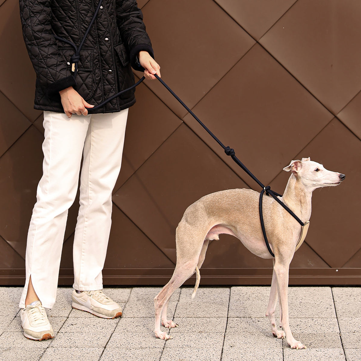 All-In-One Harness - Navy