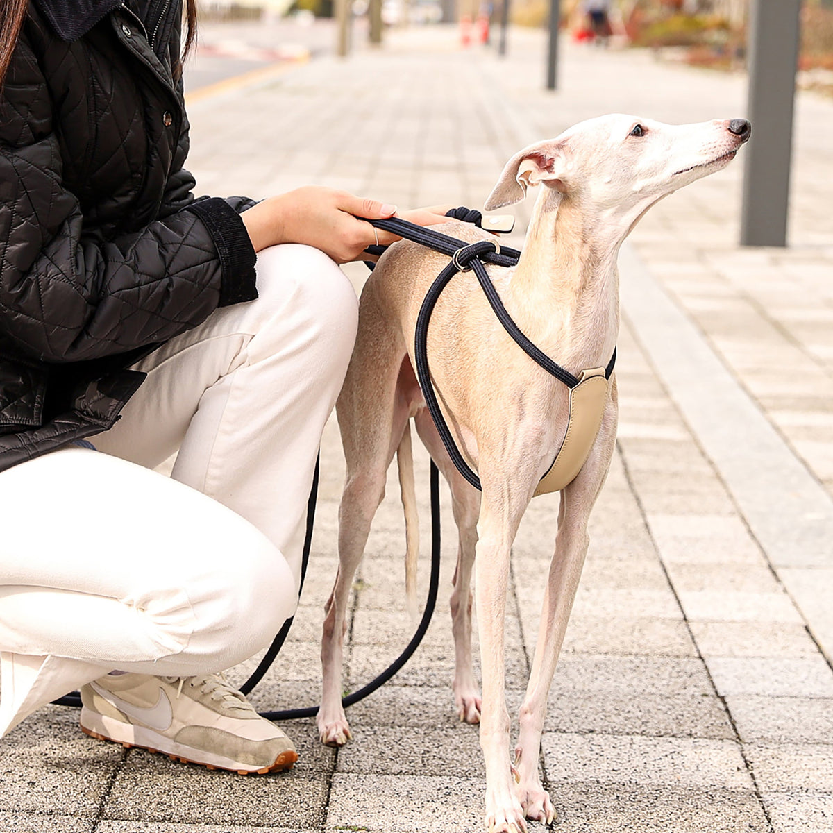 All-In-One Harness - Navy