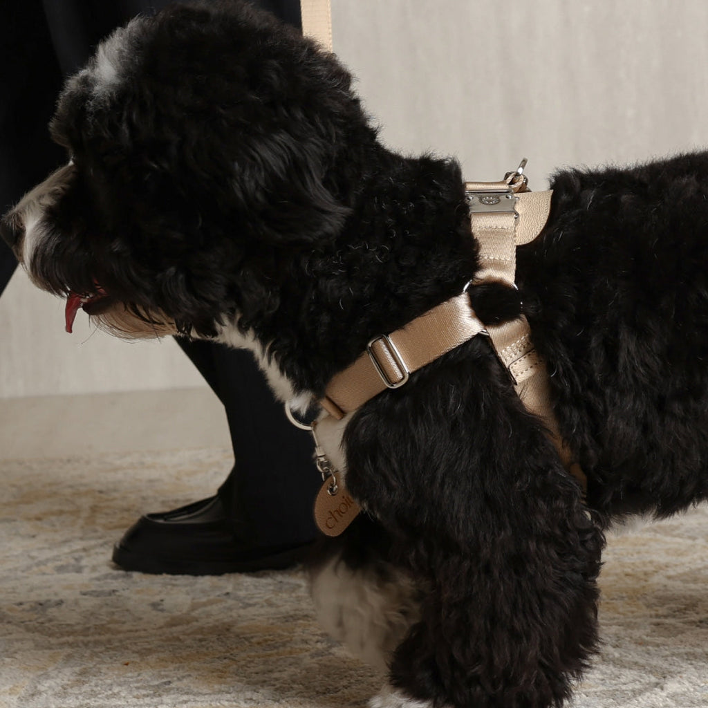 Horsebit Harness : Beige