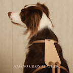 Essential Harness - Beige