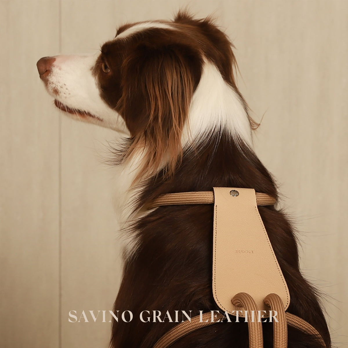 Essential Harness - Beige