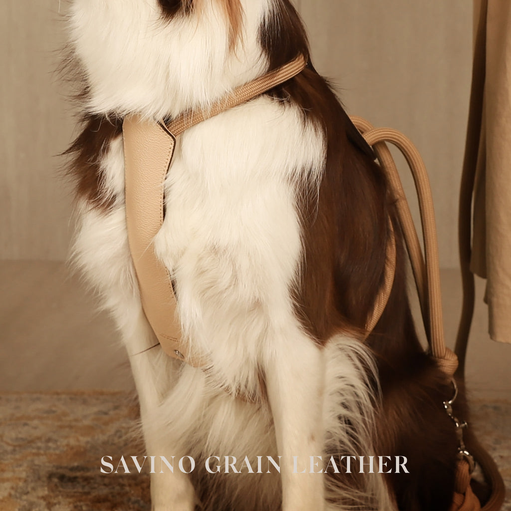 Essential Harness - Beige