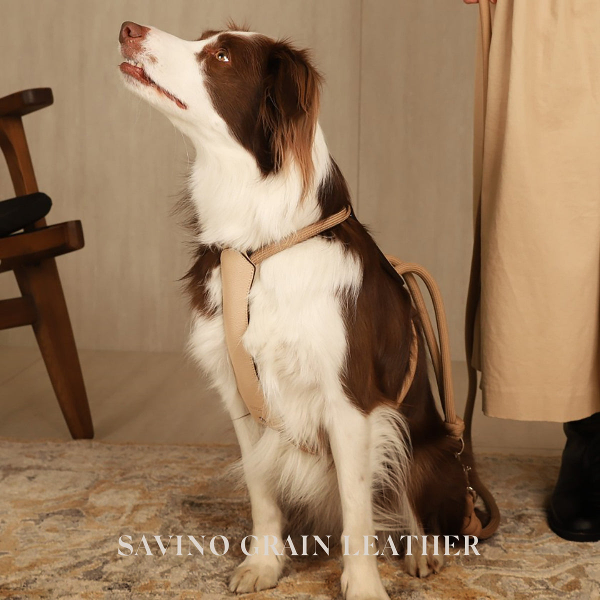 Essential Harness - Beige