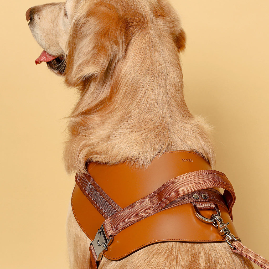 Saddle Harness : Camel