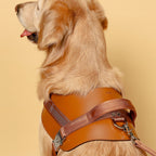Saddle Harness : Camel
