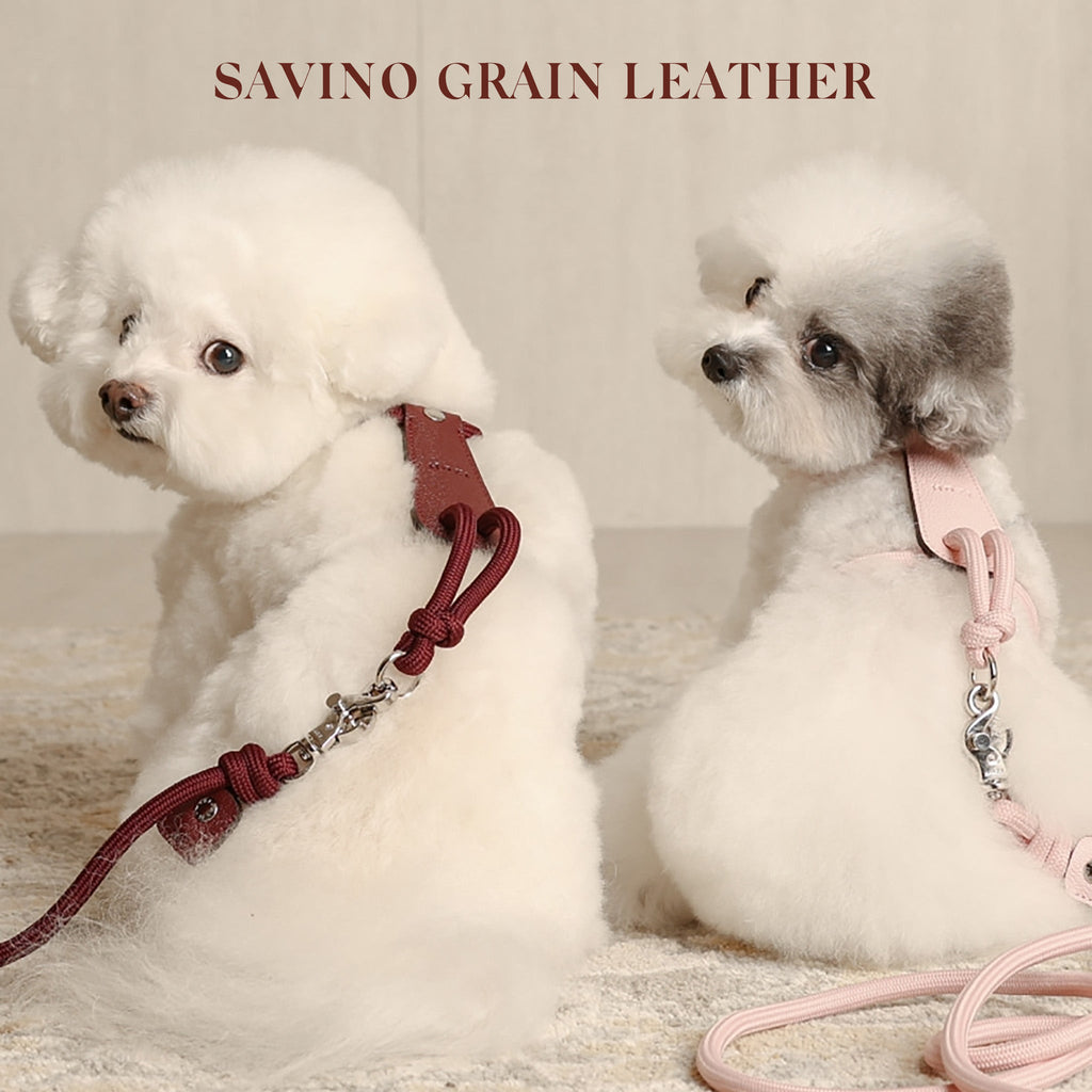 Essential Harness - Burgundy