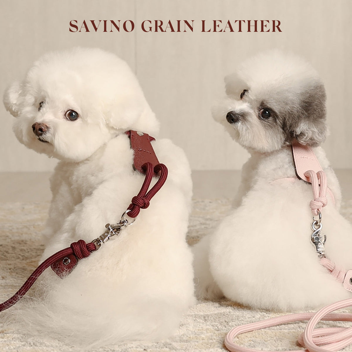 Essential Harness - Burgundy