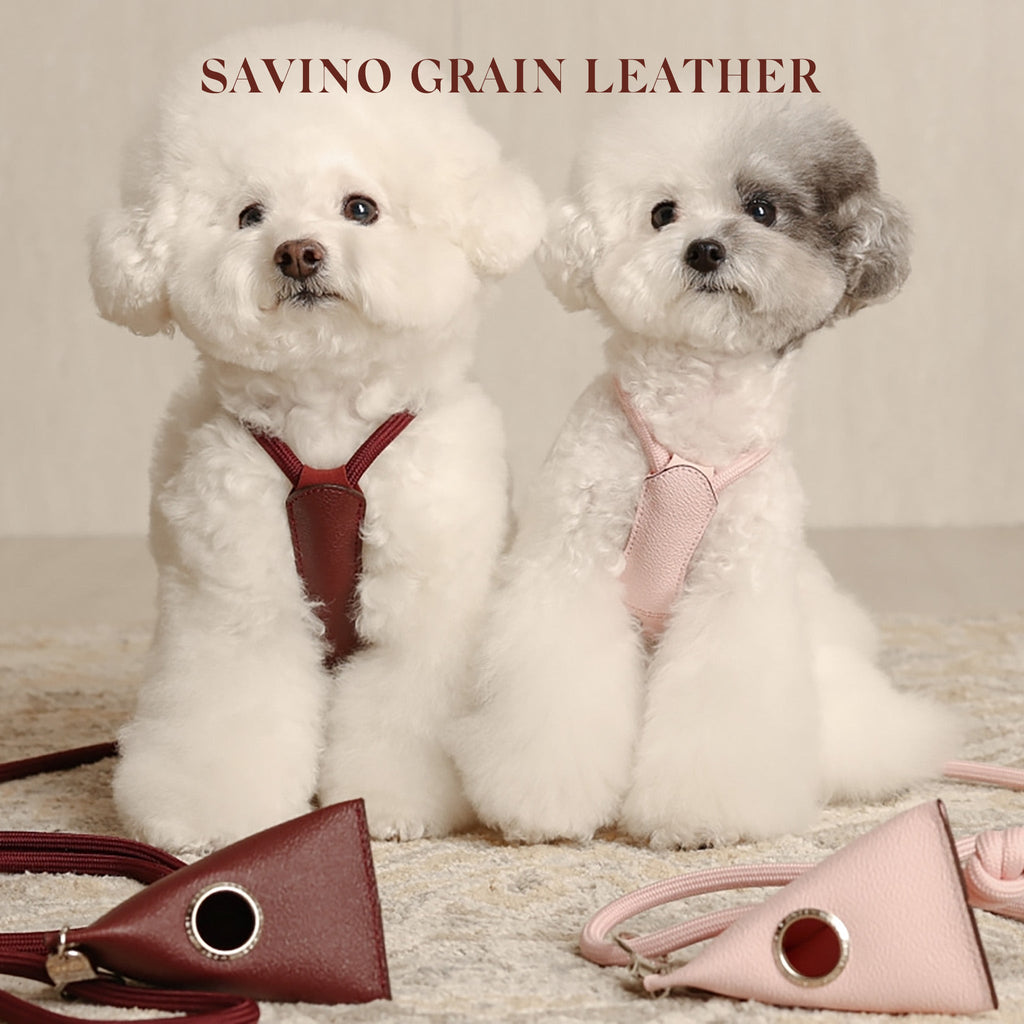 Essential Harness - Burgundy