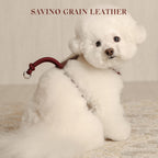 Essential Harness - Burgundy