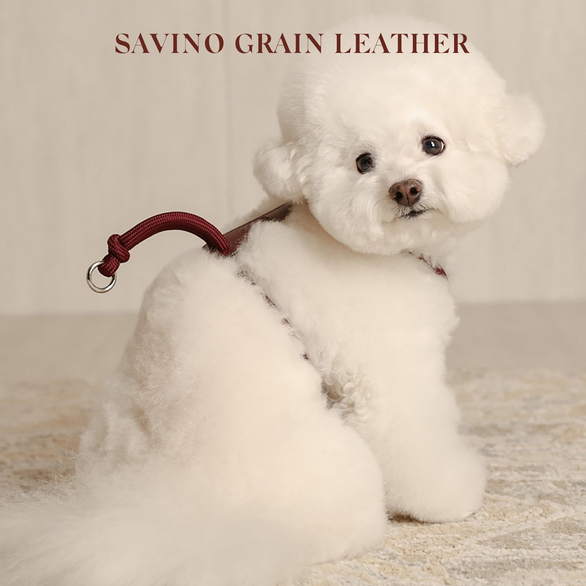 Essential Harness - Burgundy