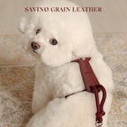 Essential Harness - Burgundy