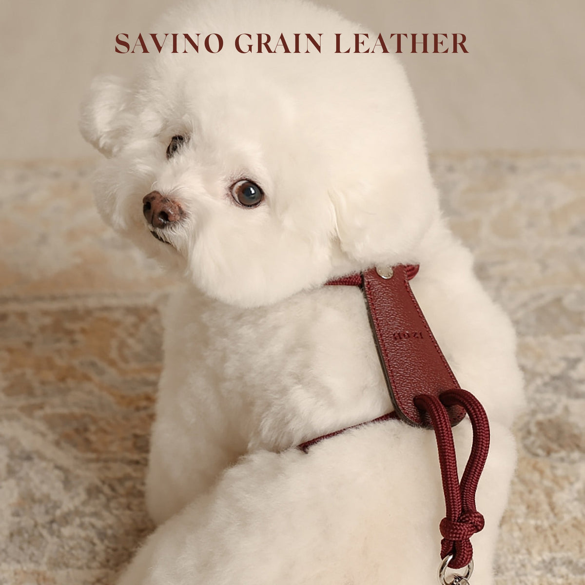 Essential Harness - Burgundy