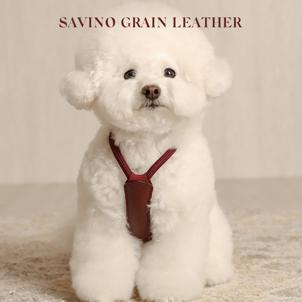 Essential Harness - Burgundy