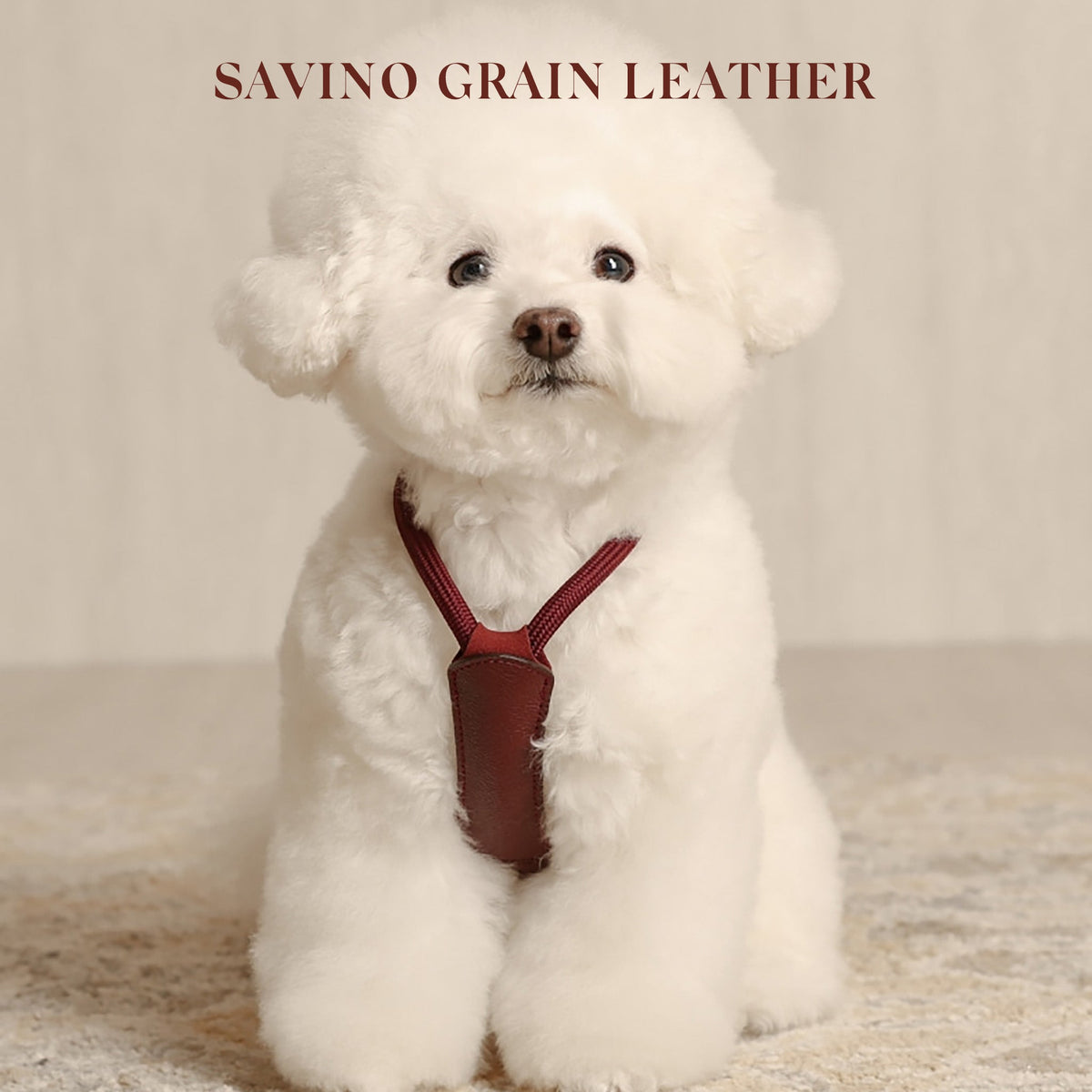 Essential Harness - Burgundy