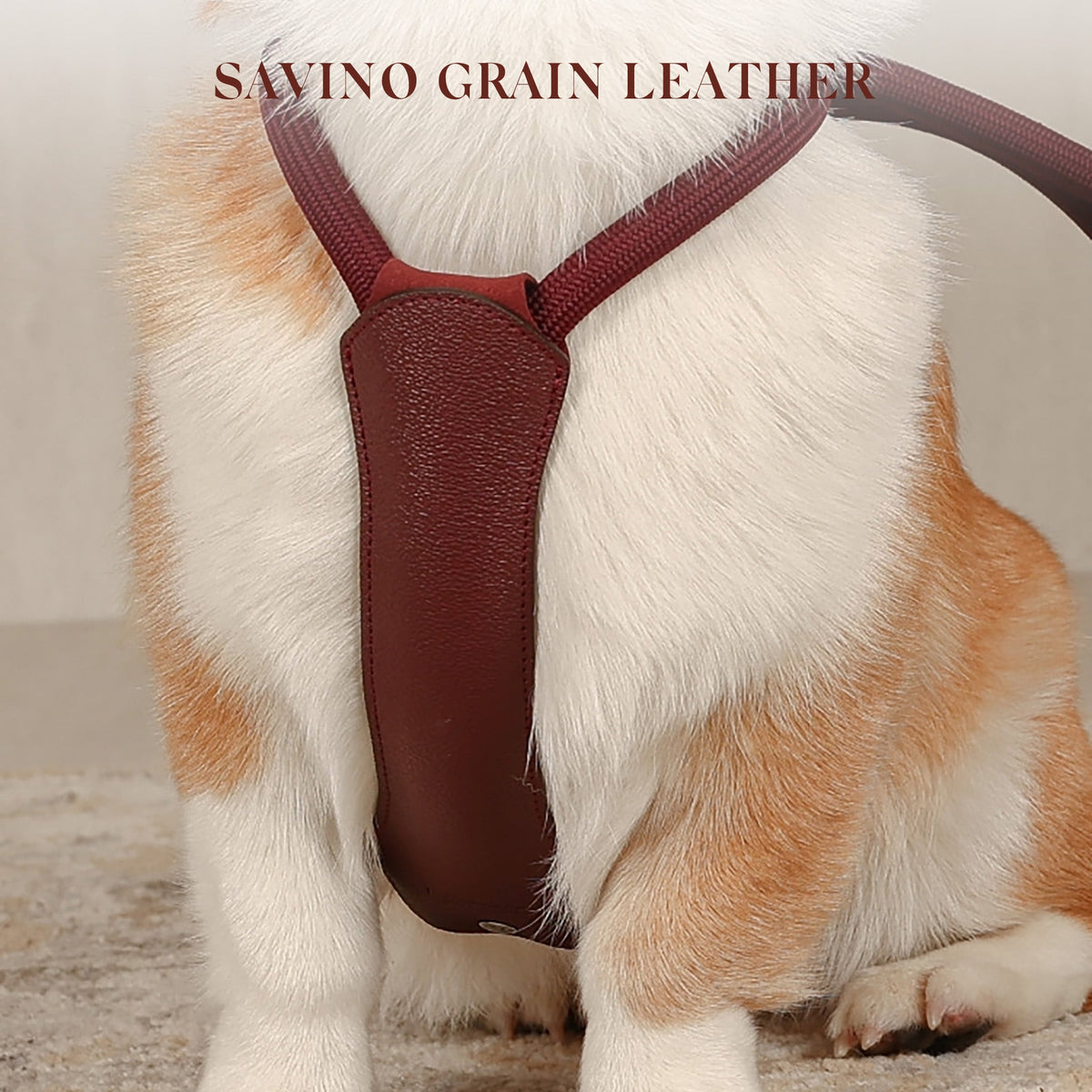 Essential Harness - Burgundy
