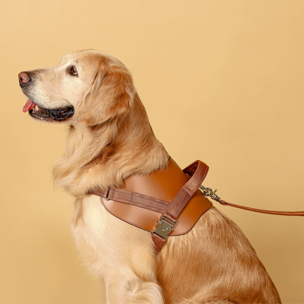 Saddle Harness : Camel