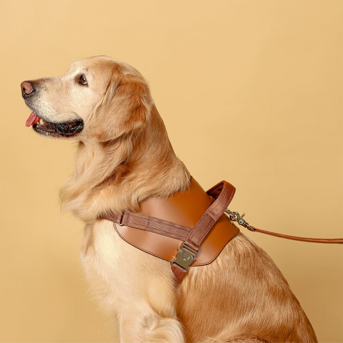 Saddle Harness : Camel