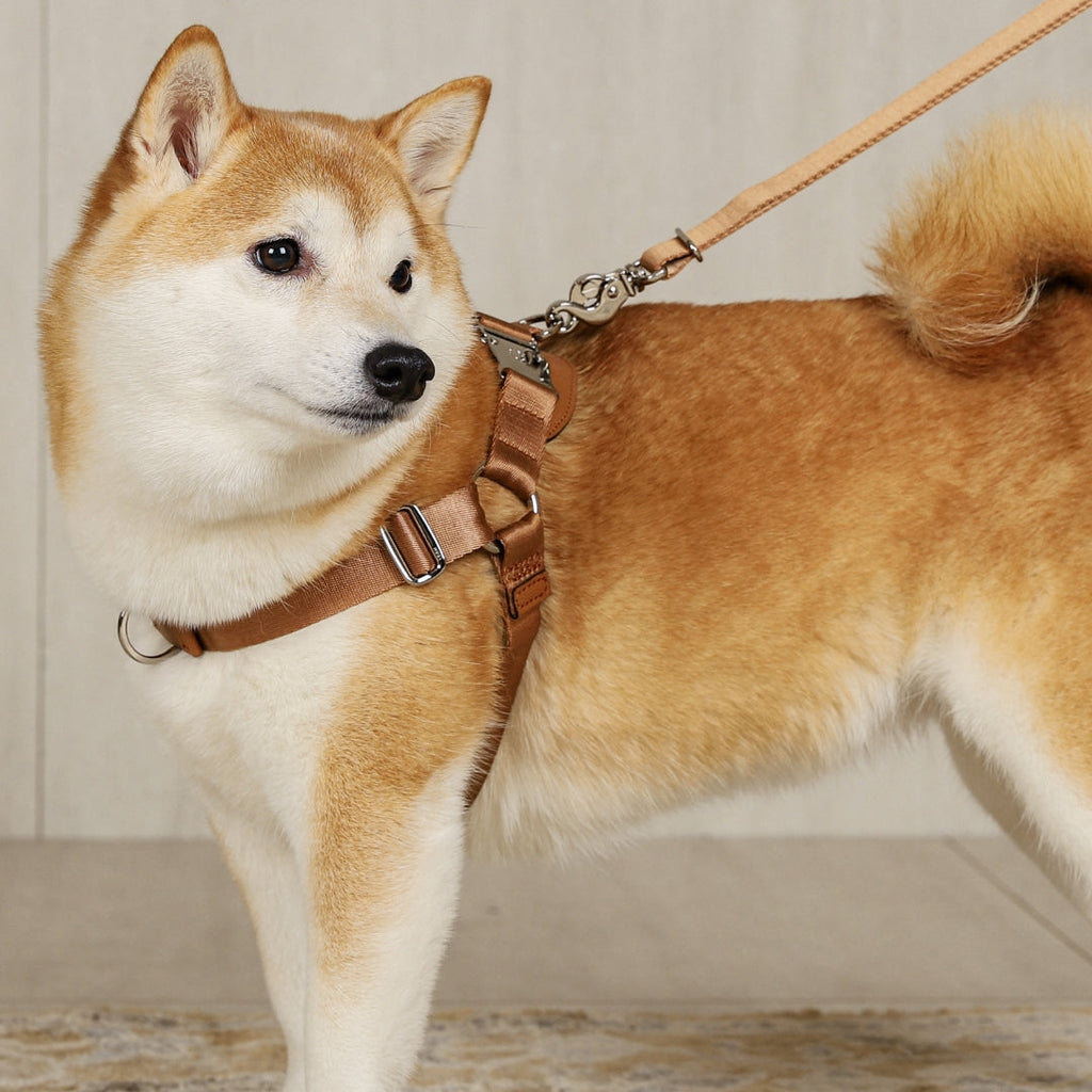 Horsebit Harness : Camel