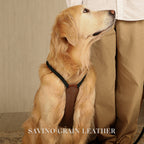 Essential Harness - Deep Green