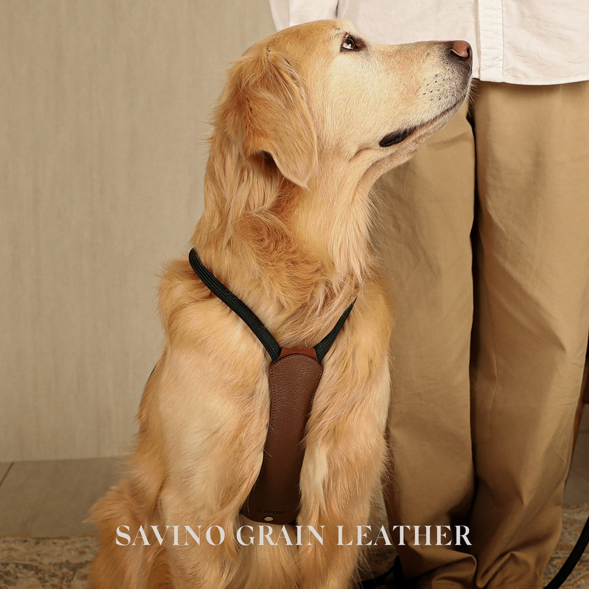 Essential Harness - Deep Green