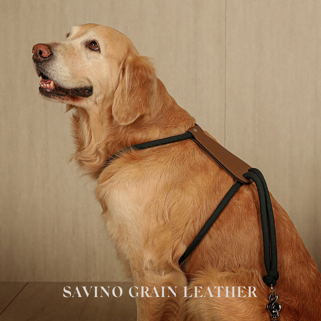 Essential Harness - Deep Green