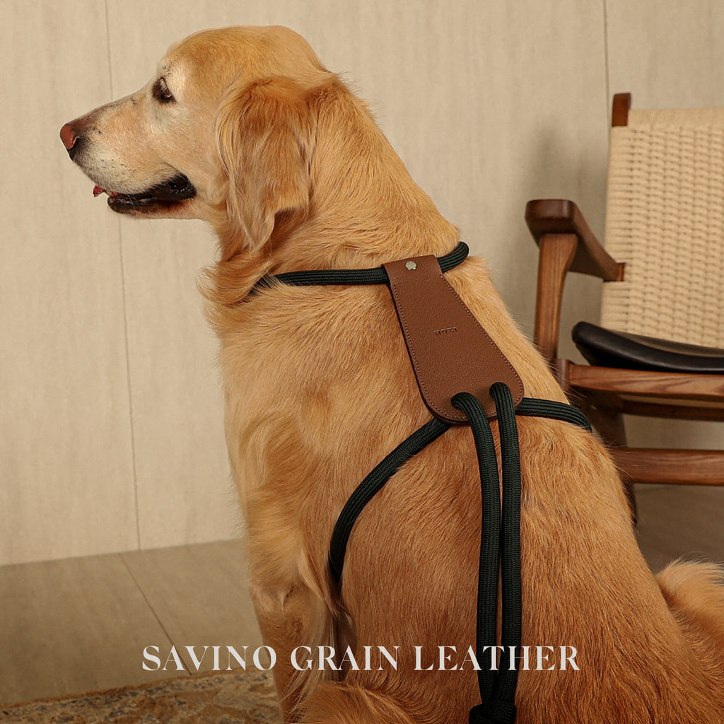 Essential Harness - Deep Green