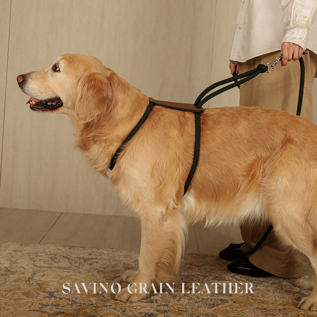 Essential Harness - Deep Green