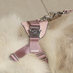 Bridle Harness : Pink