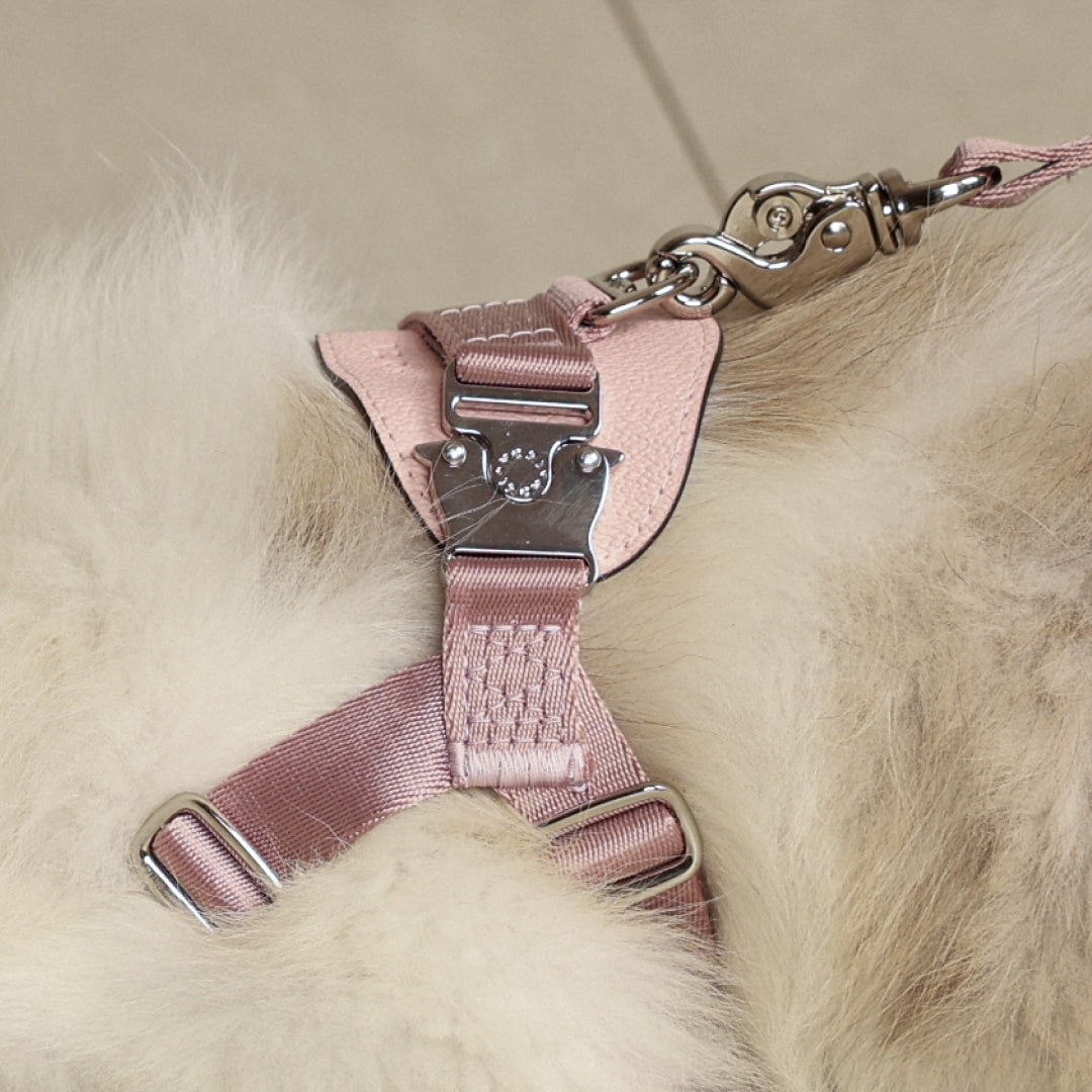 Bridle Harness : Pink