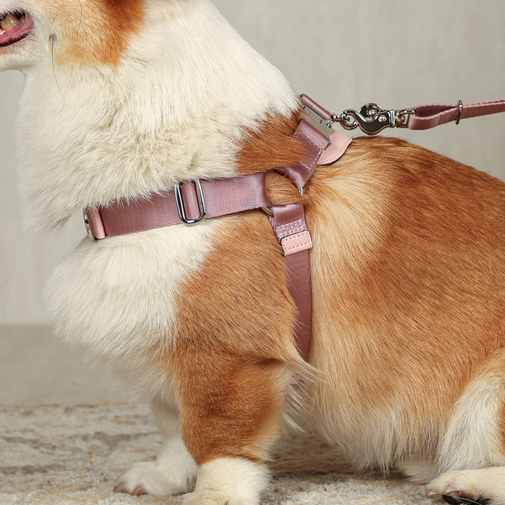 Horsebit Harness : Pink