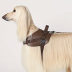 Saddle Harness : Mocha