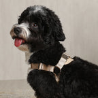 Horsebit Harness : Beige