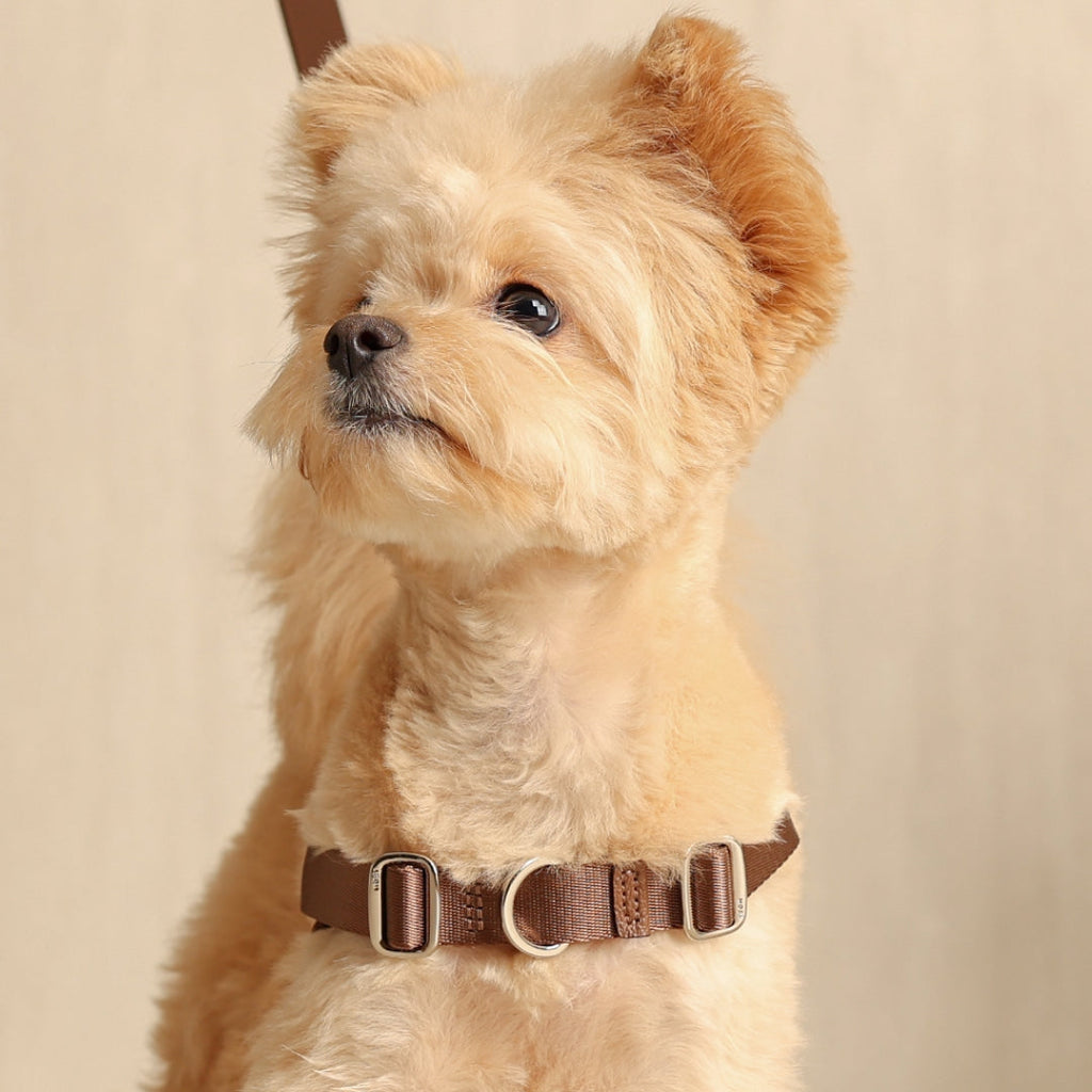 Horsebit Harness : Mocha