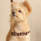 Horsebit Harness : Mocha