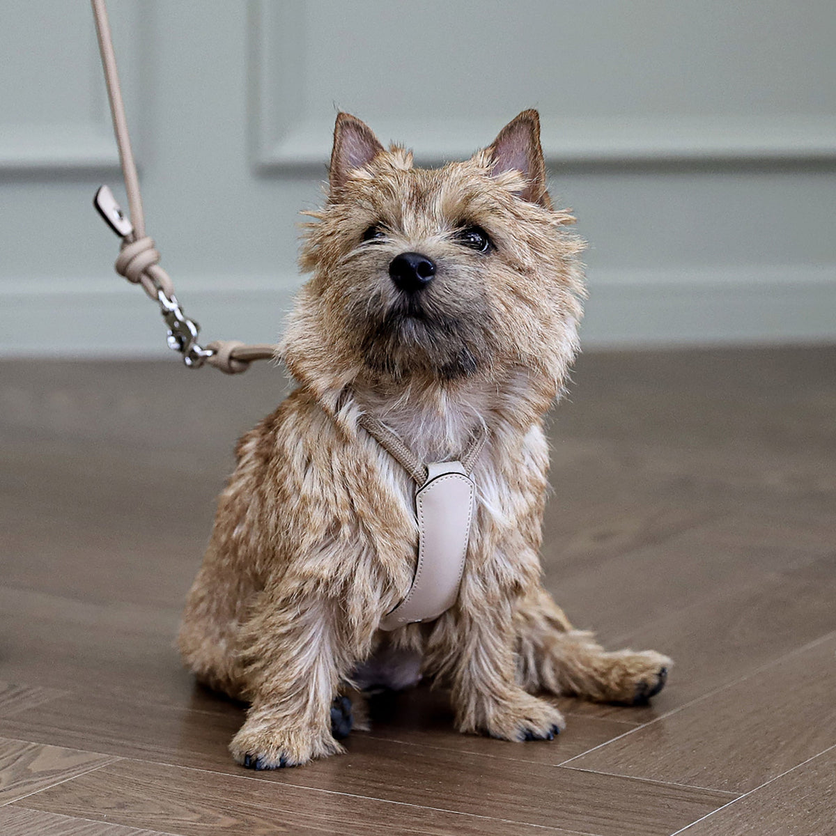 Essential Harness - Beige
