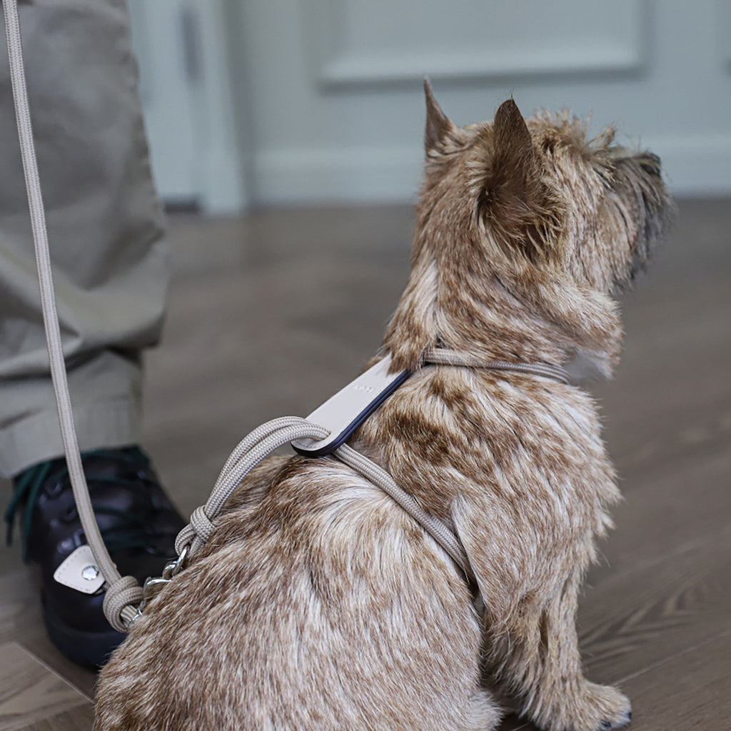 Essential Harness - Beige