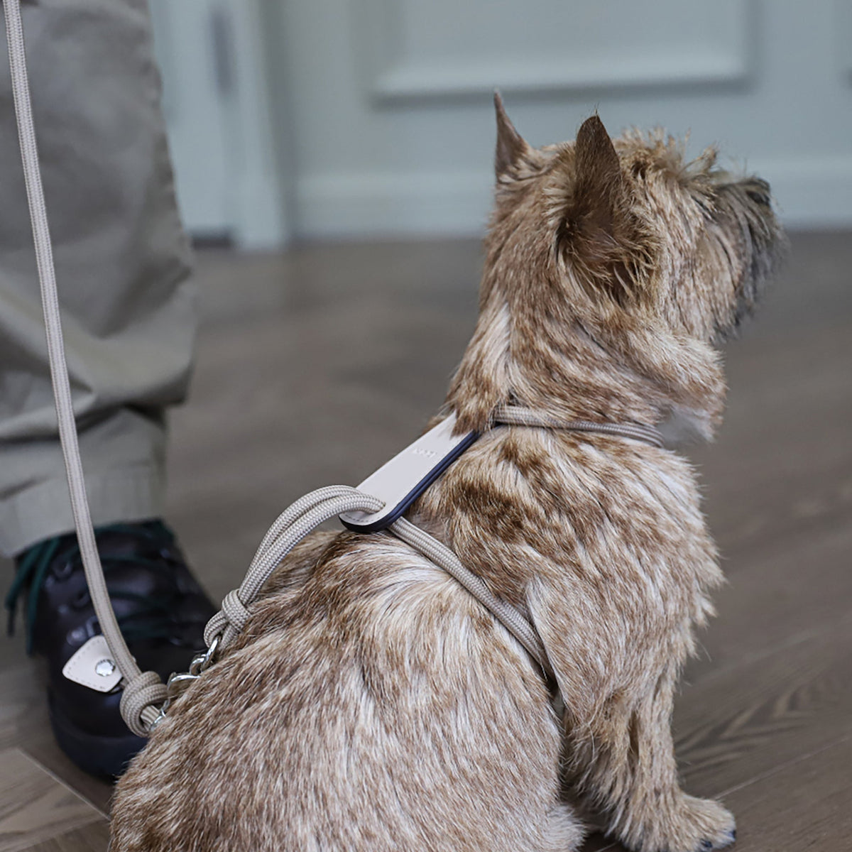 Essential Harness - Beige