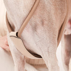 Essential Harness - Beige