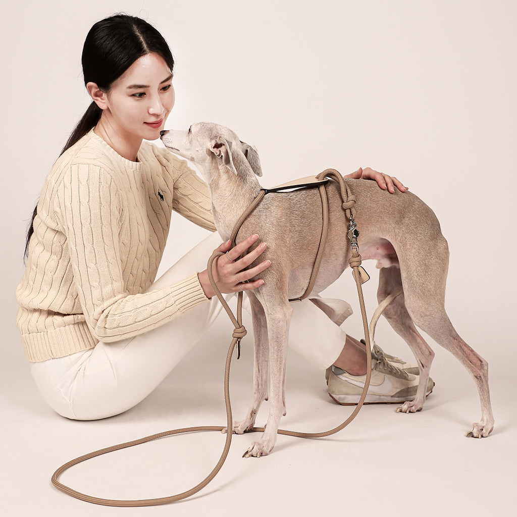 Essential Harness - Beige