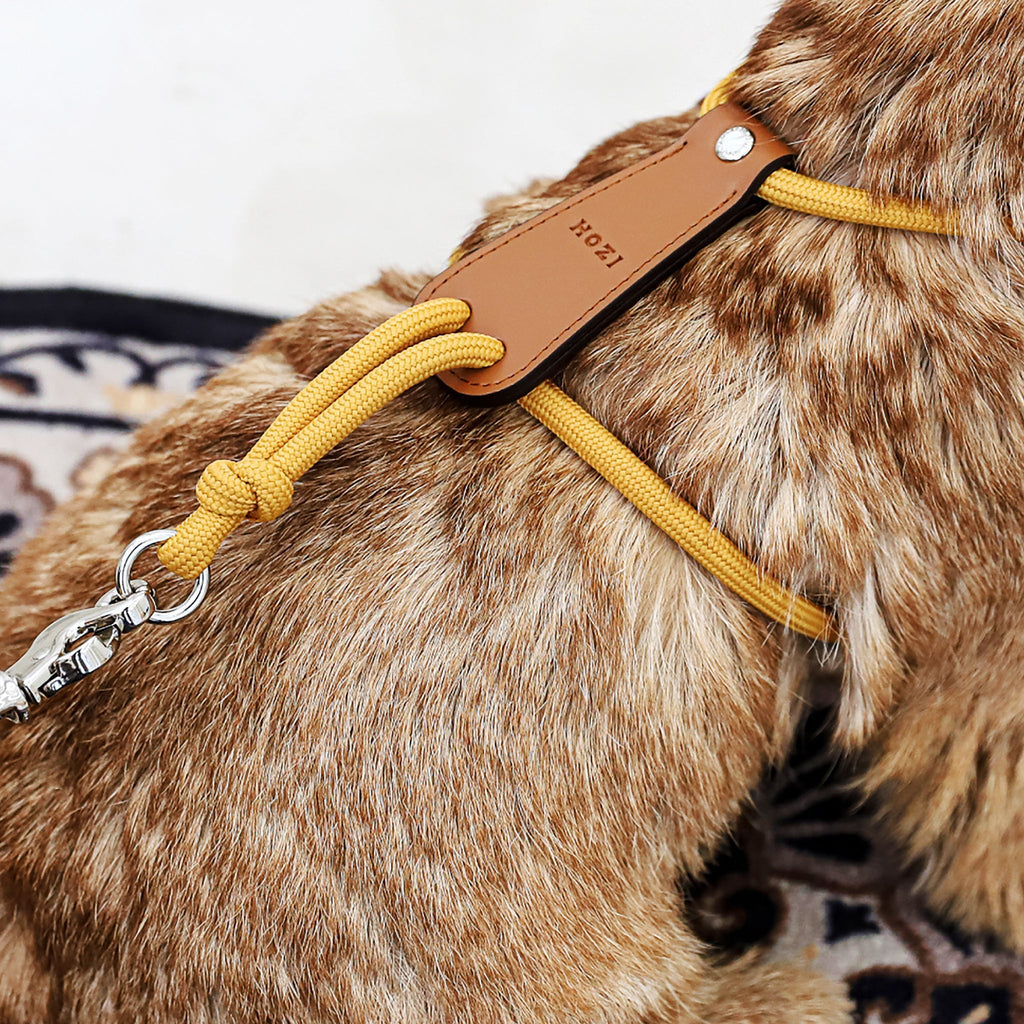Essential Harness - Mustard