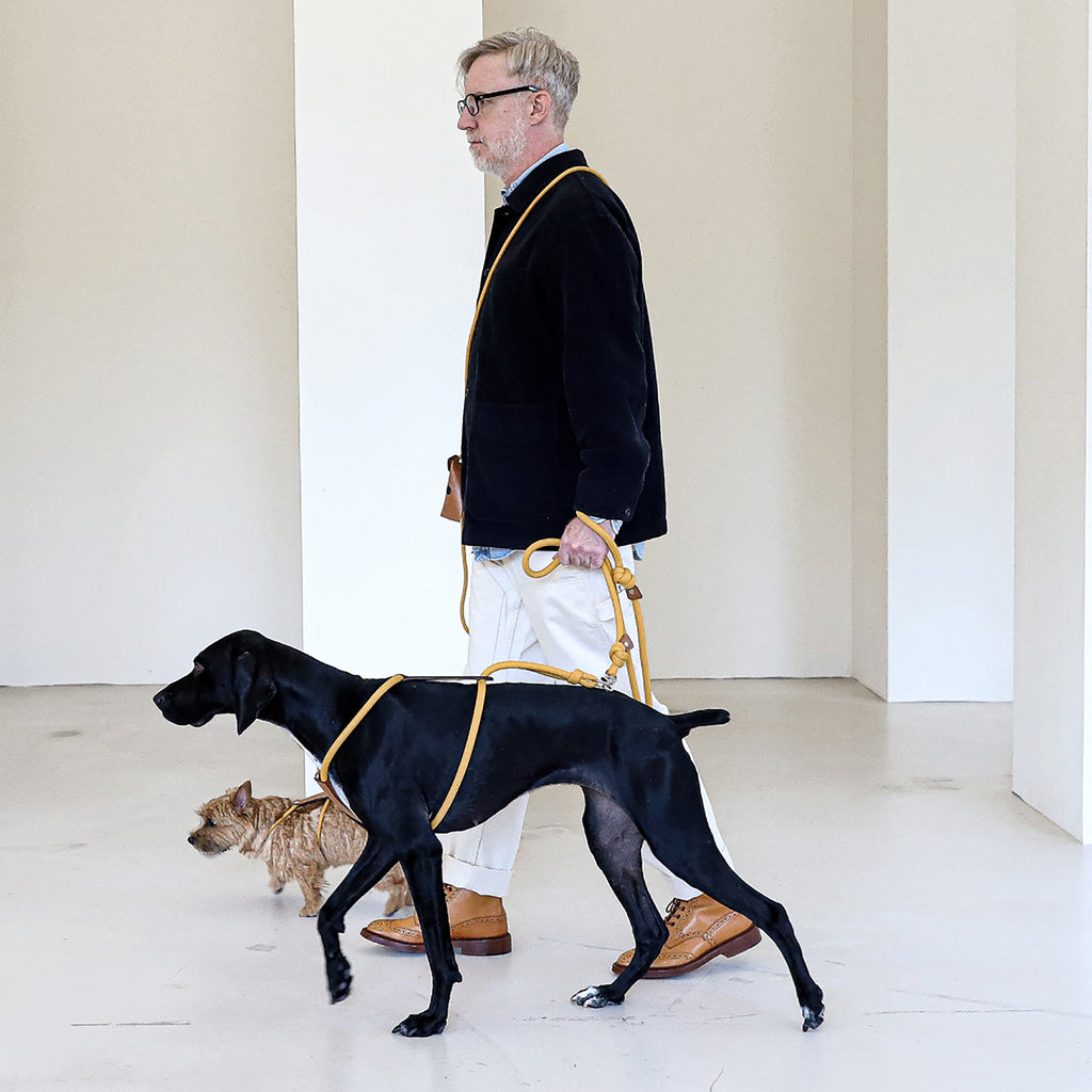 Essential Harness - Mustard