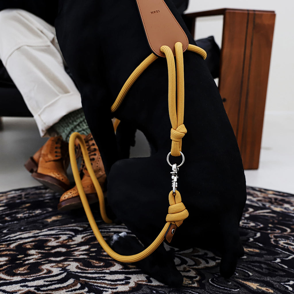 Essential Harness - Mustard