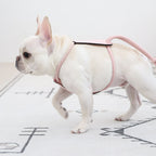 Essential Harness - Pink