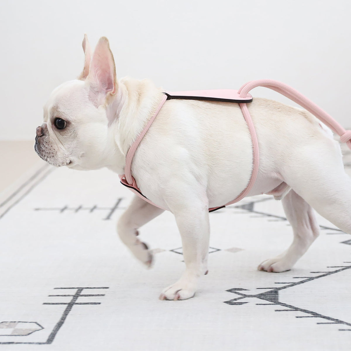 Essential Harness - Pink
