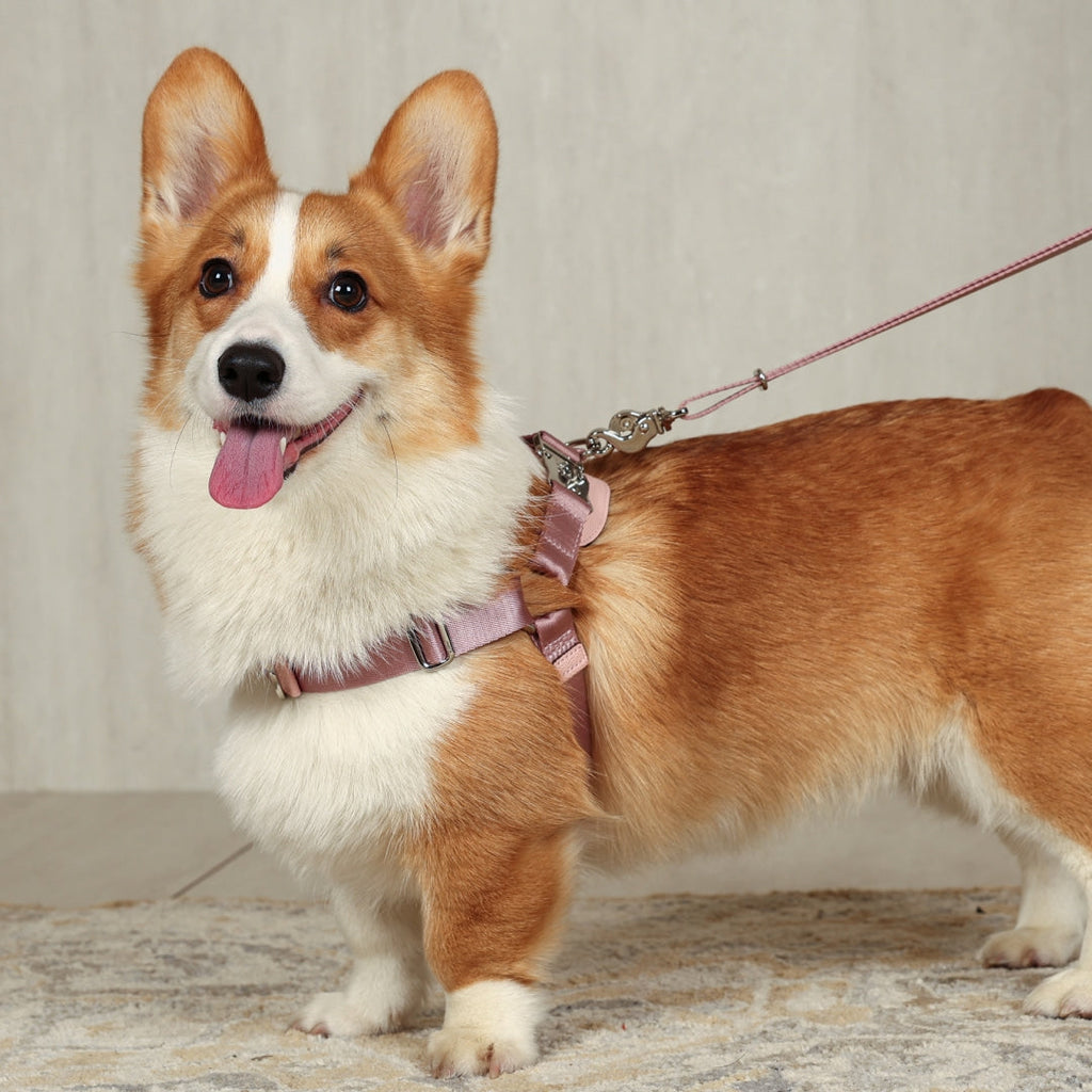 Horsebit Harness : Pink
