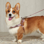 Horsebit Harness : Pink