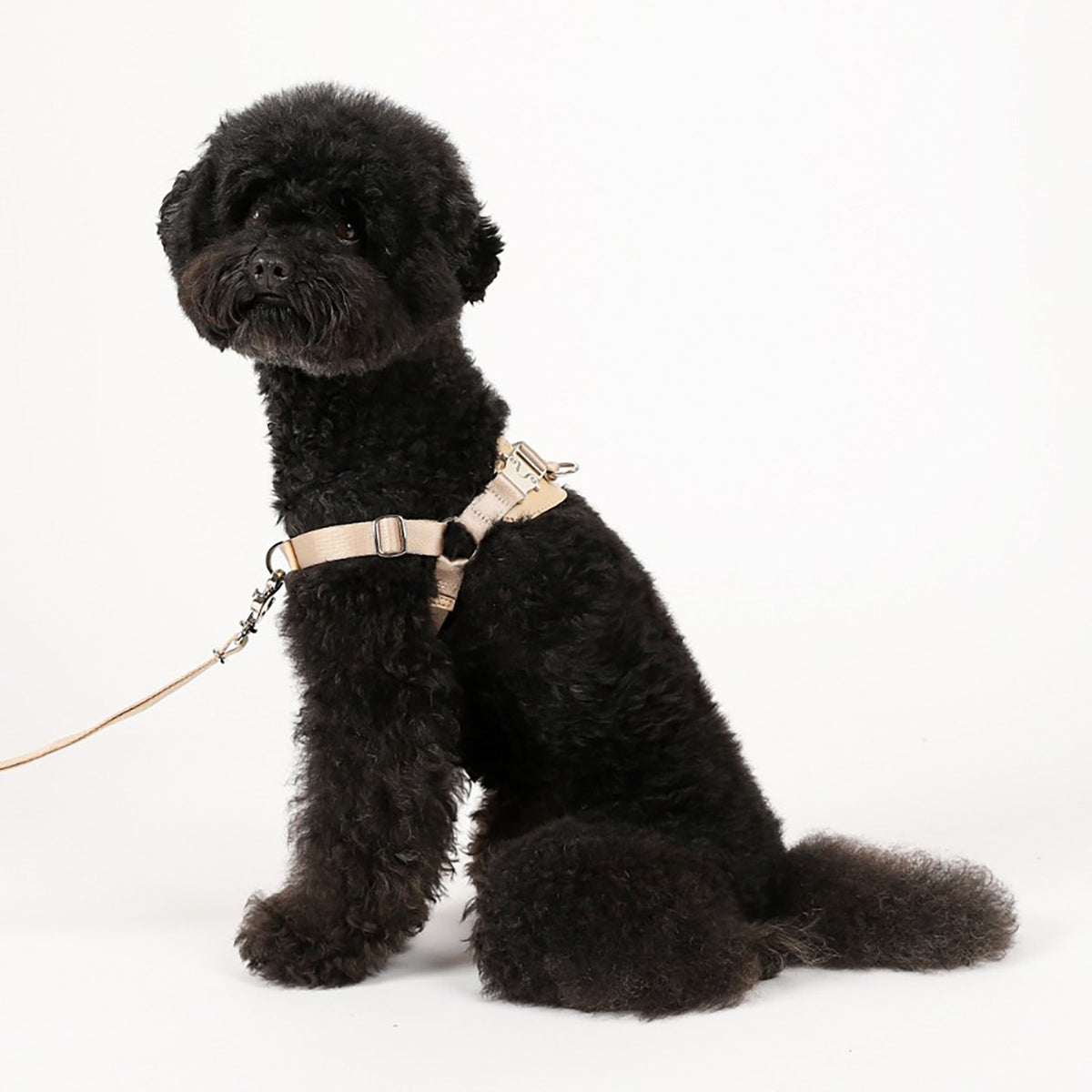 Horsebit Harness : Camel