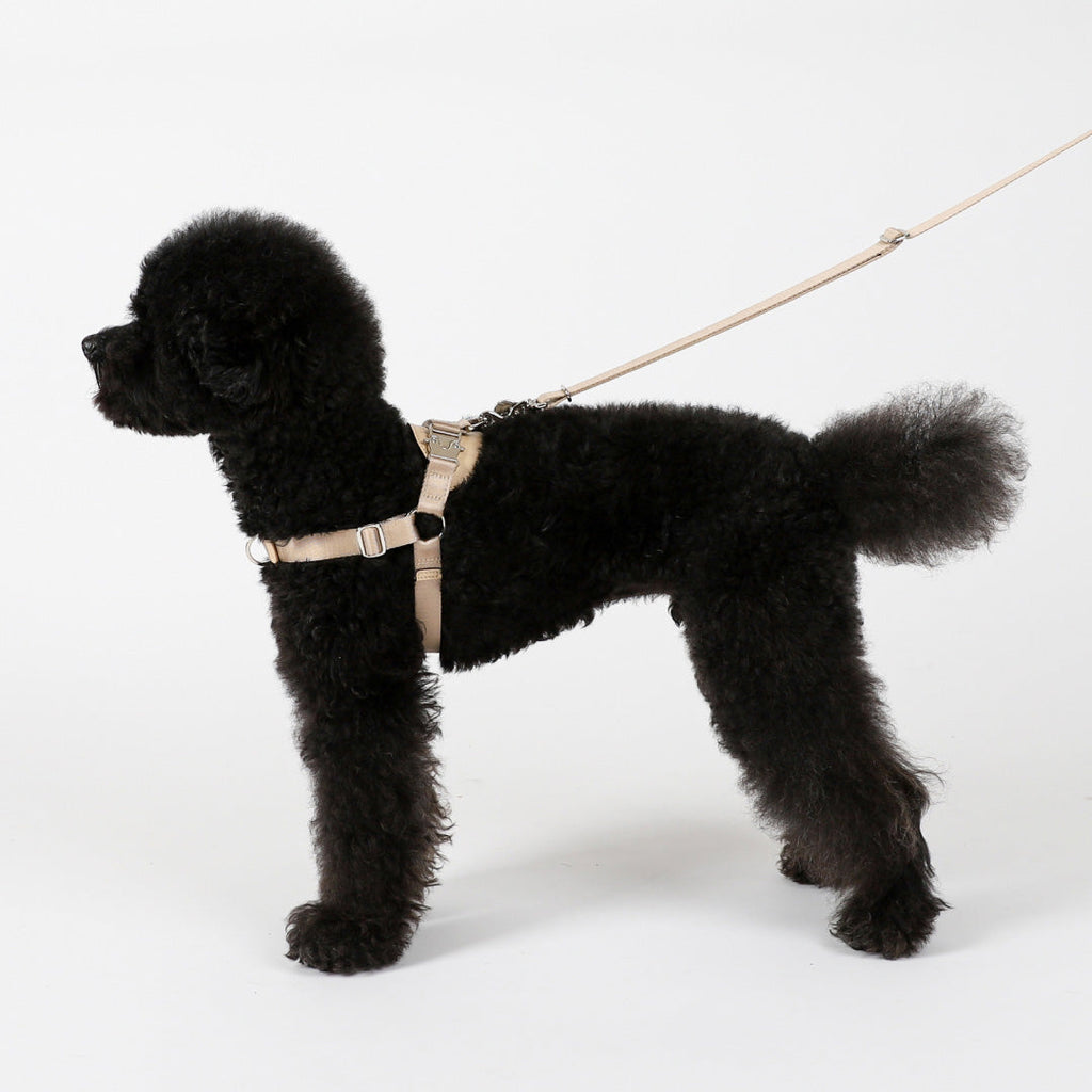 Horsebit Harness : Mocha